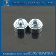 Galvanized Steel Self Clinching Nuts